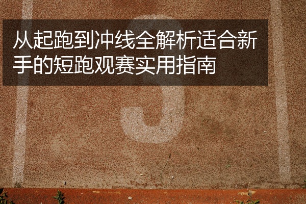从起跑到冲线全解析适合新手的短跑观赛实用指南