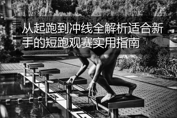 从起跑到冲线全解析适合新手的短跑观赛实用指南