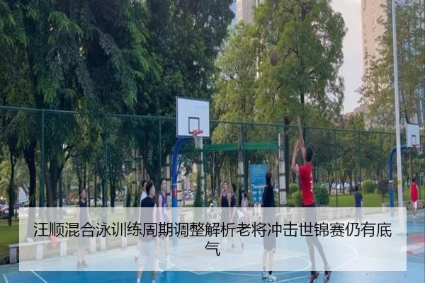 汪顺混合泳训练周期调整解析老将冲击世锦赛仍有底气