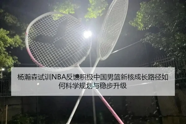 杨瀚森试训NBA反馈积极中国男篮新核成长路径如何科学规划与稳步升级 - aiyouxi sports